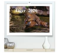 Tiger 2026 (hochwertiger Premium Wandkalender 2026 DIN A2 quer), Kunstdruck in Hochglanz: Tiger sind die Verkörperung von Schönheit, unbändiger Kraft und Unabhängigkeit.