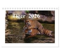 Tiger 2026 (Tischkalender 2026 DIN A5 quer), CALVENDO Monatskalender: Tiger sind die Verkörperung von Schönheit, unbändiger Kraft und Unabhängigkeit.