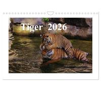 Tiger 2026 (Wandkalender 2026 DIN A4 quer), CALVENDO Monatskalender: Tiger sind die Verkörperung von Schönheit, unbändiger Kraft und Unabhängigkeit.