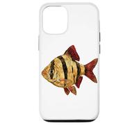 Tiger Barb Puntigrus tetrazona Acuario de Agua Dulce Carcasa para iPhone 12/12 Pro
