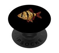 Tiger Barb Puntigrus tetrazona Acuario de Agua Dulce PopSockets PopGrip Adhesivo