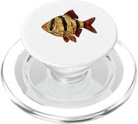 Tiger Barb Puntigrus tetrazona Acuario de Agua Dulce PopSockets PopGrip para MagSafe