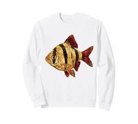 Tiger Barb Puntigrus tetrazona Acuario de Agua Dulce Sudadera