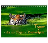 Tiger - die leisen Jäger des Dschungels (Tischkalender 2026 DIN A5 quer), CALVENDO Monatskalender: Der Tiger im Portrait