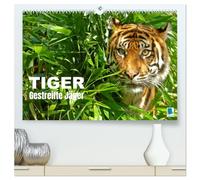 Tiger: Gestreifte Jäger (hochwertiger Premium Wandkalender 2026 DIN A2 quer), Kunstdruck in Hochglanz: Tiger: die größte Katzenart der Erde lebt in Asien