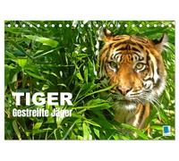 Tiger: Gestreifte Jäger (Tischkalender 2026 DIN A5 quer), CALVENDO Monatskalender: Tiger: die größte Katzenart der Erde lebt in Asien