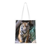 Tiger In The Zoo - Bolsa de lona para mujer, bolsa de hombro con bolsillos, bonita bolsa de compras reutilizable