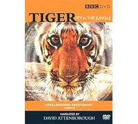 Tiger: Spy in the Jungle [Reino Unido] [DVD]