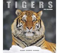 Tigers Calendar 2025 Square Wildlife Safari Big Cats Wall Calendar - 16 Month