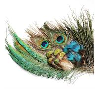 Tigofly Juego de plumas de pavo real, cola de espada, plumas para ninfas, moscas húmedas, materiales clásicos para atar moscas