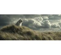 Tigre 5D Diamond Painting, Animal Diamond Painting Adultos, DIY Cuadro Diamante Accesorios, 5D Dibujos con Diamantes Art Kit Manualidades Adultos, Regalo, Primavera Decoracion Hogar, 160x70cm 9-8333