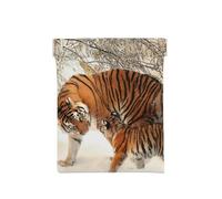 Tigre Bebé Familia De Tigres Joven, Squeeze Top Wallet Bolsa de Almacenamiento para Mujer Monedero pequeño Bolsa de Cambio