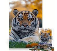 Tigre descansando en un Campo de Hierba Rompecabezas de 1000 Piezas para Adolescentes Juguete de lógica para armar Diversión con Corte de precisión Regalo Elegante 38x52cm
