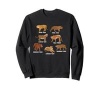 Tigre Especies Tigre Amante Niños Javan Tiger Sudadera