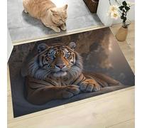 Tigre Las Cavernas Alfombra Atrapapolvo Antideslizante Lavable en Lavadora,60 x 90 cm Felpudo de Entrada con Microfibras para Entrada Puerta Pasillo, Naranja