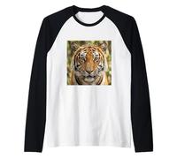 Tigre Primer Plano Retrato Intenso Vida Silvestre Cara Camiseta Manga Raglan