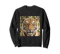 Tigre Primer Plano Retrato Intenso Vida Silvestre Cara Sudadera