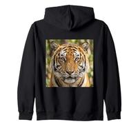 Tigre Primer Plano Retrato Intenso Vida Silvestre Cara Sudadera con Capucha