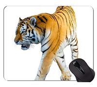 Tigre que mira intensamente la alfombrilla de ráton del juego de la decoración, alfombrillas de ráton animales