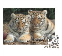 Tigres couchés Style de photographie animalière1000 Pièces, Puzzle Impossible Pour Adultes, Cadeaux, Pour Enfants52x38cm/1000pcs