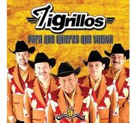 Tigrillos - Para Que Quieres Que Vuelva
