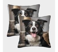 TIICZAAKL Lindo Cachorro Fundas De Cojín 2 Juego De Suave Border Collie Funda Almohada Fundas para Cojines para Dormitorio, Sofá, Decorativa para El Hogar 45x45cm