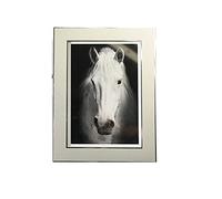 Tiiiopkvvv Foto e foto de aluminio e foto montada en la pared e adornos de escritorio decoración del hogar imagen e imágenes (tamaño: A (5 x 7 pulgadas) ()