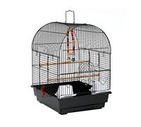 Tiiiopkvvv Jaula para pájaros pequeños, suministros para mascotas, jaula de metal para loros, periquitos, resistente, incluye 2 posaderas, 2 tazas de comida, 1 percha de juguete para pájaros