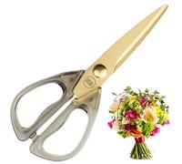 Tijeras de cocina doradas, iridiscentes y de cobre dorado