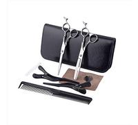 Tijeras de peluquería profesional pelo tijera Set Japan Steel 440C pelo corte tijeras de reducción peluquero/Herramienta Styling Salon,Plata,6 INCH