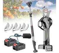Tijeras electricas para podar sin cable,Tijera de podar Eléctrico de 45mm Podadora de Flores Podar con Pértiga de extensión,2x 4.5Ah Batería recargable y 1/2/3x Hojas de Repuesto ( Color : With Extens
