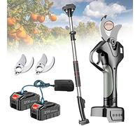 Tijeras electricas para podar sin cable,Tijera de podar Eléctrico de 45mm Podadora de Flores Podar con Pértiga de extensión,2x 4.5Ah Batería recargable y 1/2/3x Hojas de Repuesto ( Color : With Extens