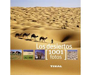 Tikal - Los desiertos (1001 Fotos)