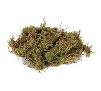TIKATARER Musgo de Terrario, Musgo Spaghuman Musgo Sphagnum Sustrato Decoración Suministros para Reptiles Terrario de Reptiles Musgo Verde para Leopardo Gecko Rana Camaleón Serpiente Tortuga