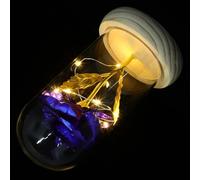 TIKODIDA Lámpara LED de Rosa Preservada Azul en Cúpula de Cristal sin Batería, Decoración de Hogar Artesanal, Flor Inmortal para Obsequio y Ambiente Acogedor