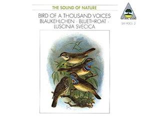 Tilgner Walter - Blaukehlchen (Tilgner)