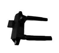 TILIEINE Bobina Encendido Coche Ajuste para Mercedes Benz W463 W290 AMGS63 S560 E63 C63 GT GT63 G550 GLC63 A1779069500 A1779060300 Bobina de Encendido Kit de Bobina de Encendido