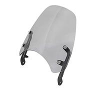 TILIEINE Parabrisas Ajuste para Triumph Bonneville T120 T 120 T100 2016-2022 carenado de Faro Parabrisas Motocicleta Protector de Pantalla de Viento Deflector de Viento para Parabrisas(Silver)