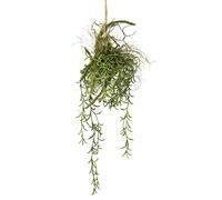 Tillandsia Colgante en Rama Musgo Artificial Colgante Planta Verde Planta Artificial Planta de Interior Flores de Seda decoración Musgo Artificial islandés Guirnalda arbustos