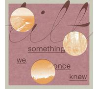Tilt Something We Once Knew (Vinyl) 12" Album (Importación USA)