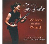Tim Donahue - Voices In The Wind