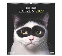 Tim Flach: Katzen 2027: Wandkalender 45x48 cm mit faszinierenden Katzen-Porträts von Tim Flach