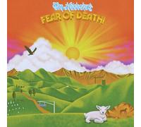 Tim Heidecker - Fear Of Death [Vinilo]