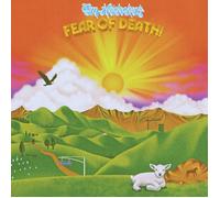 Tim Heidecker Fear of death (Vinyl) (Importación USA)