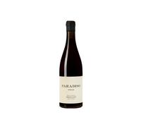Tim Hillock Paradiso Syrah 2022