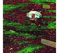 TIM KOH - IN YOUR DREAMS [Vinilo]