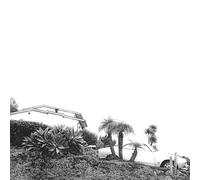 Timber Timbre Hot Dreams (CD) (Importación USA)