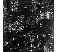 TIMBER TIMBRE - SINCERELY, FUTURE POLUTION (LP) (1 LP)