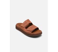 Timberland CASCO COVE 40 Marrón
