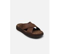 Timberland CASCO COVE 40 Marrón